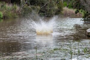 how does a swamp cooler work
