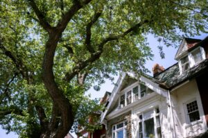 older Albuquerque home with mature trees and aging plumbing